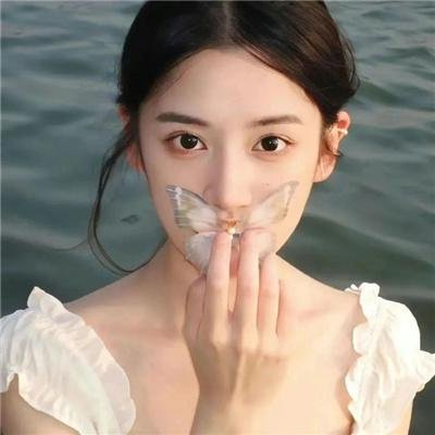 万紫千红花弄蝶